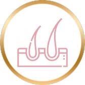 enhances-hair-thickness-volume.webp